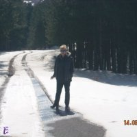 Весела