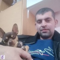 Iordan