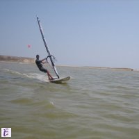 ivo