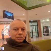 Ivo