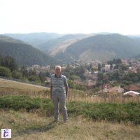 Maurizio