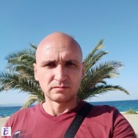 ivo