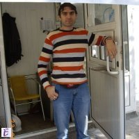 Ivo