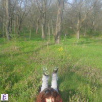 Маргарита