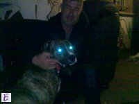 rumen