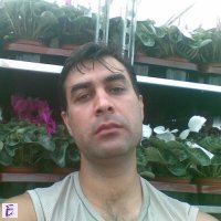 ilcho