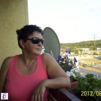 Darina
