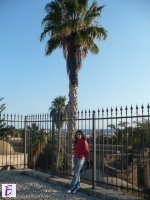 katia
