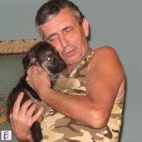 ivo