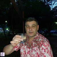 ivo