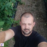 aleksandar