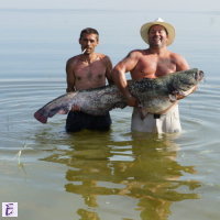 Андрей