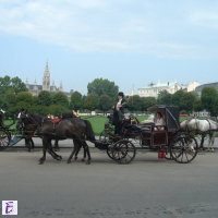 Елица
