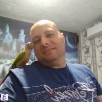 Христо