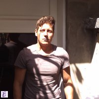 alexander