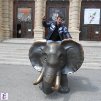 Grigor