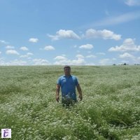 Красимир