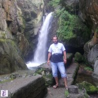 todor
