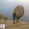 Dima