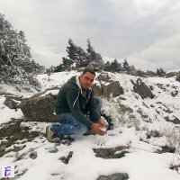 vasil