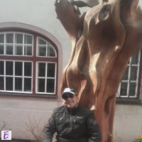 remo