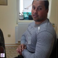 Damir
