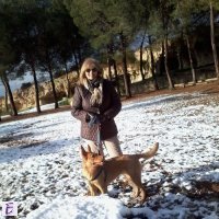 lavinia