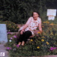 cvete