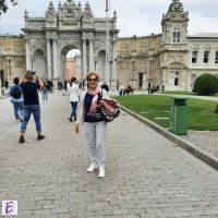 Ели