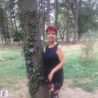 Violeta