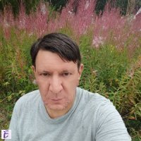 petar