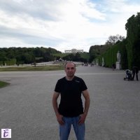 zoran