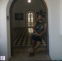 pavlos
