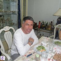 Veselin