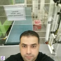 Ozan