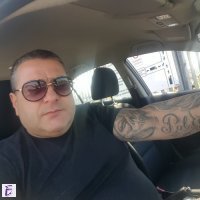 pavlin