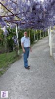 Deni