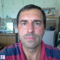 Ivo