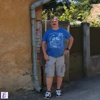 Werner