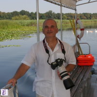 Branko