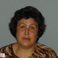 margarita