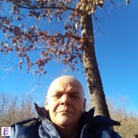 Маргарит