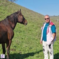 Florin