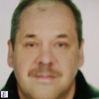 Darek