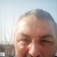 marek