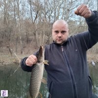 Zdravko