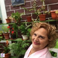 Corina