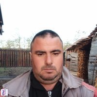 Velibor