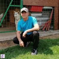 Bogdan