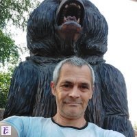 Васил